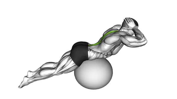 Back Extension On Stability Ball