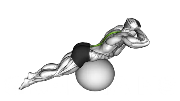 Back Extension On Stability Ball — Step 2