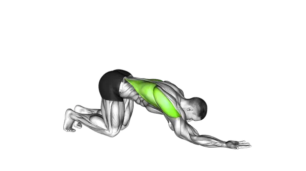Kneeling Lat Stretch