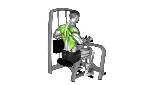 Lever Seated Row