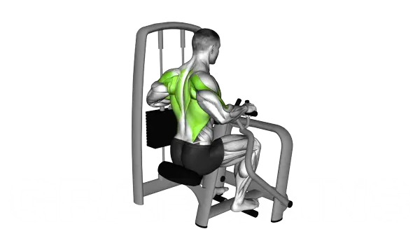 Lever Seated Row — Step 2