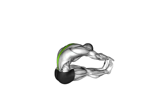 Spine Stretch