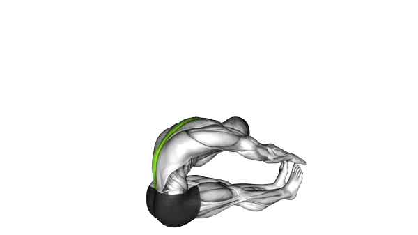 Spine Stretch — Step 2