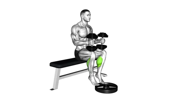 Seated Dumbbell Calf Raise