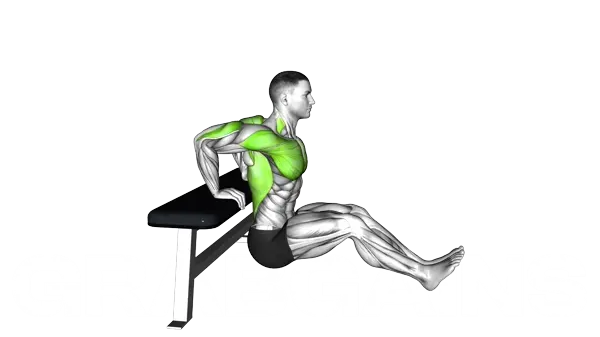 Bench Dip with heels on Floor — Step 2