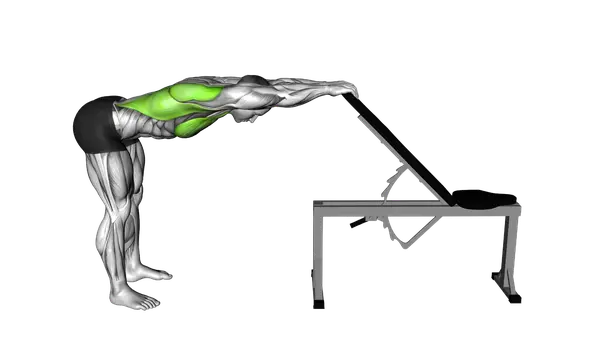 Back Pec Stretch