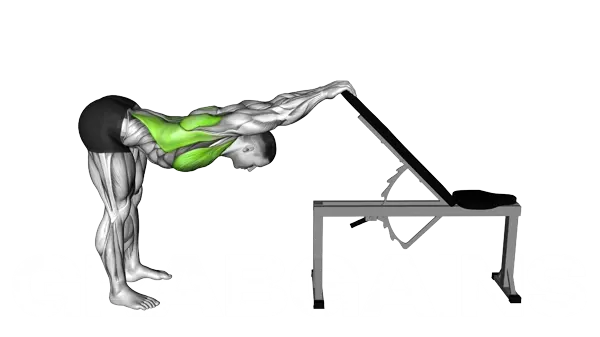 Back Pec Stretch — Step 2