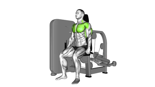 Lever Seated Dip