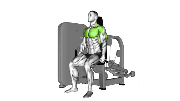 Lever Seated Dip — Step 2