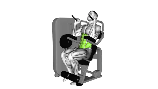Lever Seated Crunch