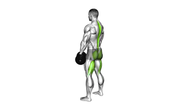 Dumbbell Romanian Deadlift