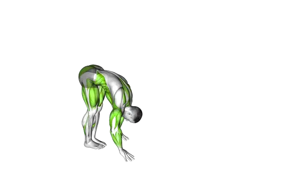 Inchworm