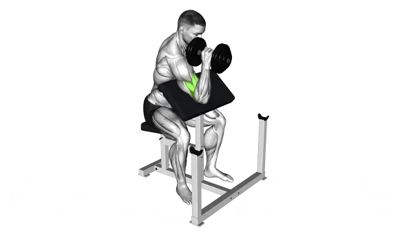 Dumbbell One Arm Preacher Hammer Curl — Step 2