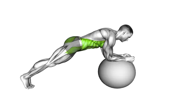 Stability Ball Front Plank
