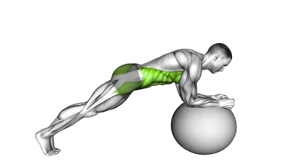 Stability Ball Front Plank — Step 2