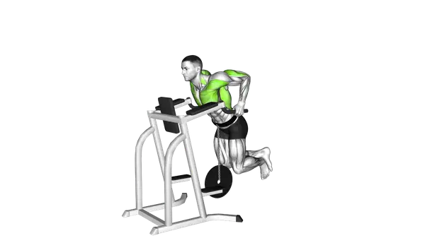 Weighted Tricep Dips