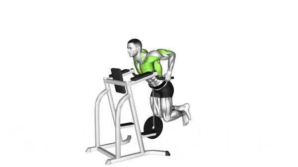 Weighted Tricep Dips — Step 2