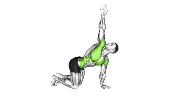 Kneeling Back Rotation Stretch — Step 2