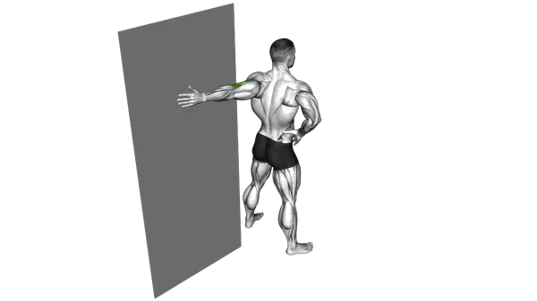Elbow Flexor Stretch