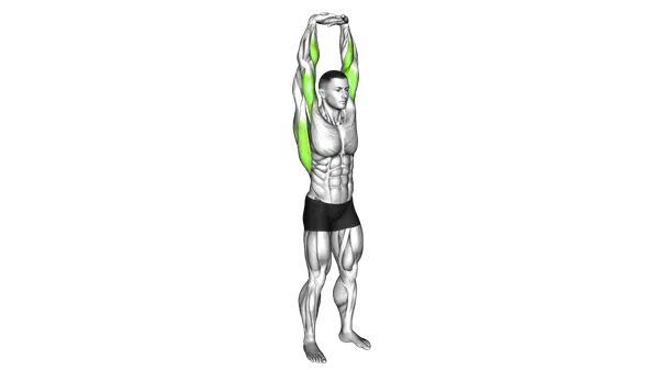 Extension Of Arms In Vertical Stretch