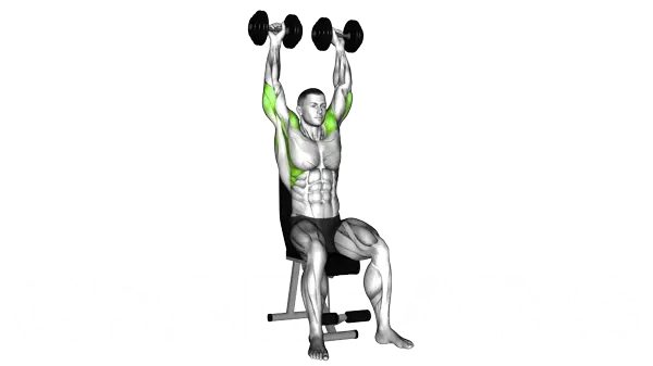 Dumbbell Arnold Press — Step 2