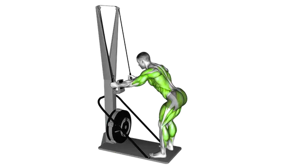 Ski-Erg