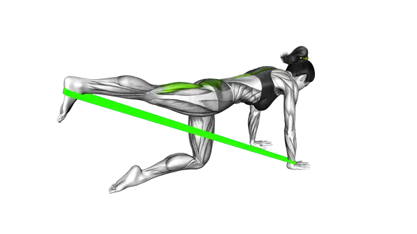 Loop Band Glute Kickback