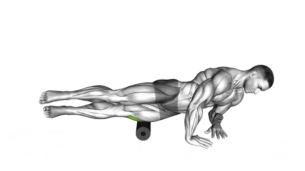 Foam Roller Tensor Fasciae Latae (TFL) Release