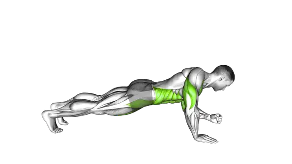 Elbow Up And Down Dynamic Plank