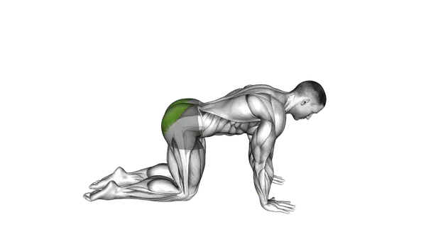 Bent Knee Glute Kickback