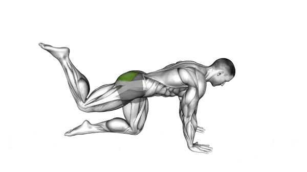 Bent Knee Glute Kickback — Step 2