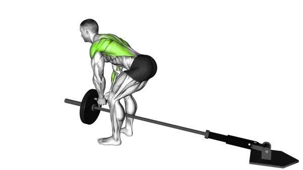 Lever Bent Over Row With V Bar (Plate Loaded)