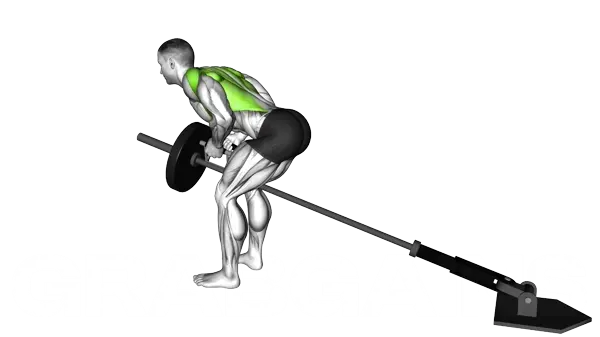 Lever Bent Over Row With V Bar (Plate Loaded) — Schritt 2