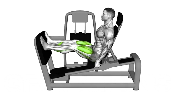 Lever Seated Leg Press — Step 2