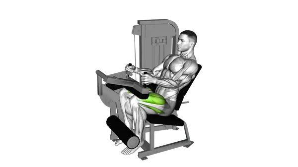 Lever Leg Extension