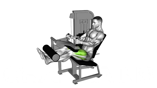 Lever Leg Extension — Step 2