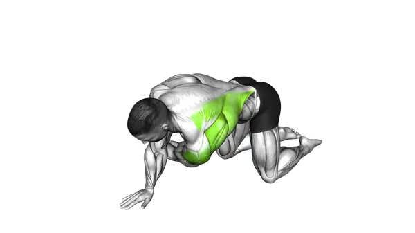 Kneeling T Spine Mobility