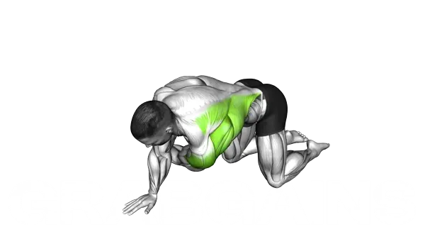 Kneeling T Spine Mobility — Step 2