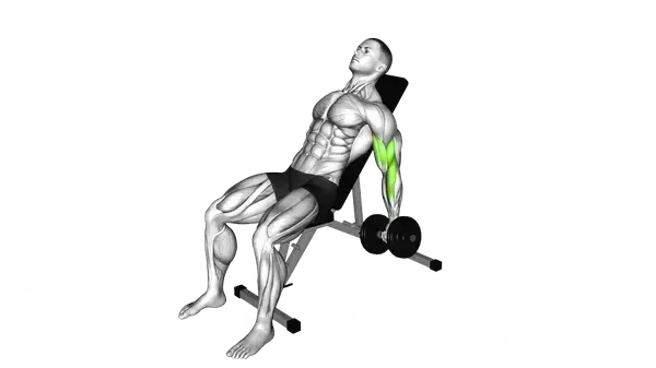 Incline Dumbbell Alternative Curl