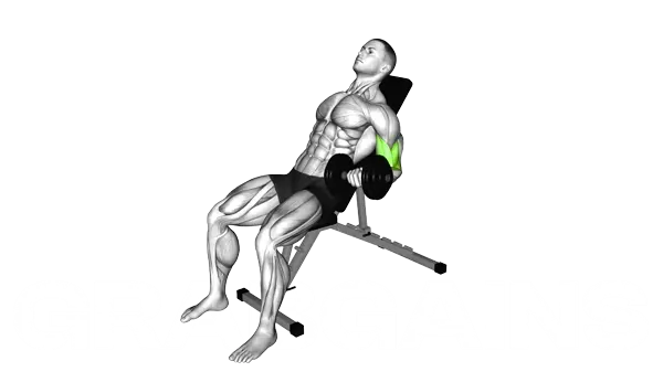 Incline Dumbbell Alternative Curl — Step 2