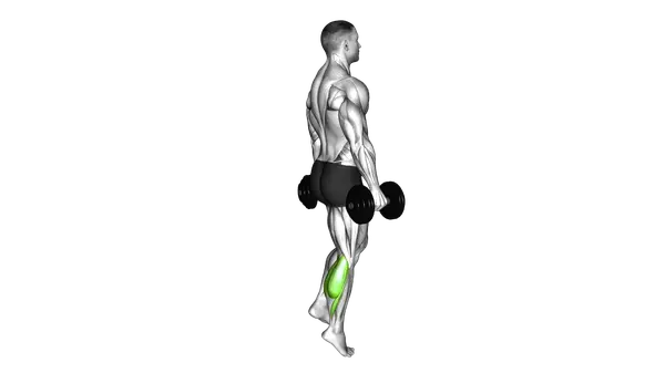 Standing One-Leg Calf Raise With Dumbell