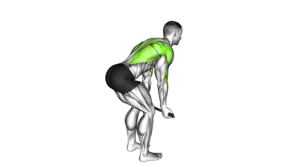 Bent Over Row With Towel