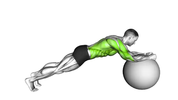 Stability Ball Body Saw