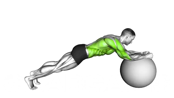 Stability Ball Body Saw — Step 2