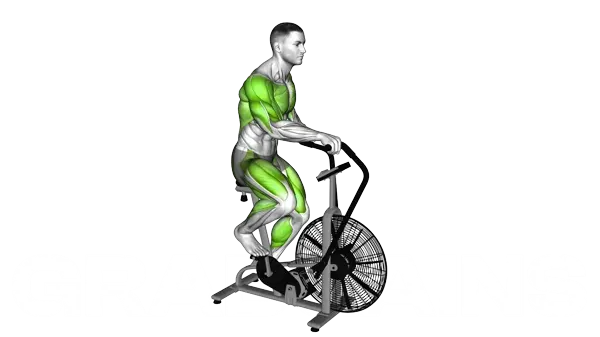 Assault Bike Run — Step 2