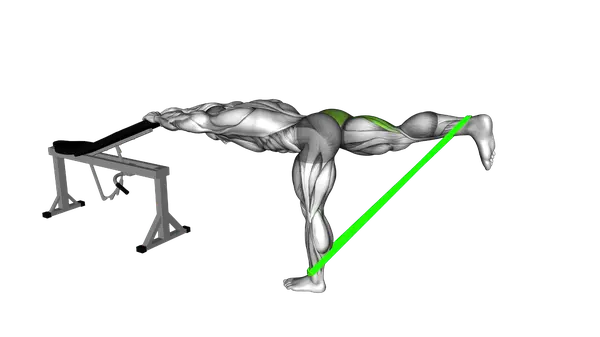 Resistance Band One Leg Kickback (Bent Position)