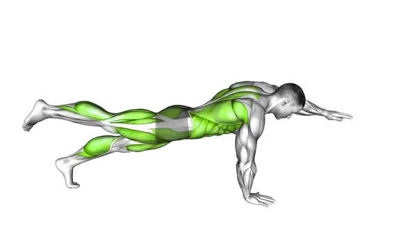 Push-up plank with alternating arm and leg lifts