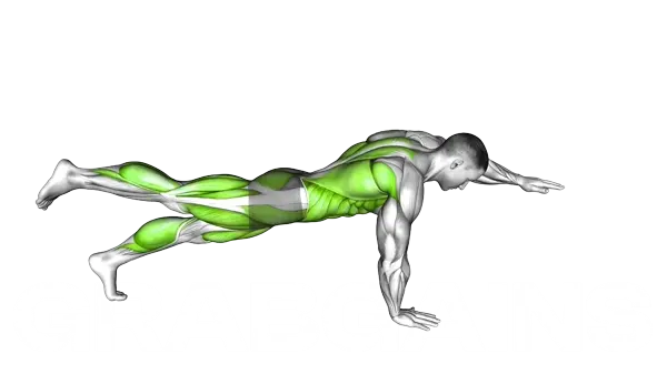 Push-up plank with alternating arm and leg lifts — Step 2