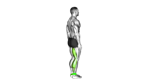 Resistance Band Leg Curl