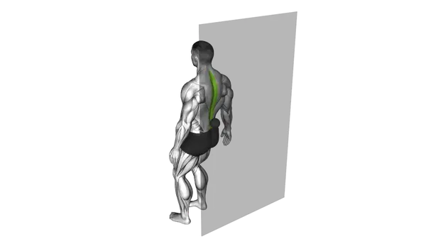 Roll Ball Erector Spinae